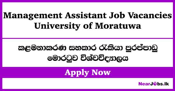 Management Assistant – University of Moratuwa Job Vacancies