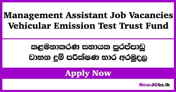 Management Assistant Vacancies 2026 – Vehicular Emission Test Trust Fund