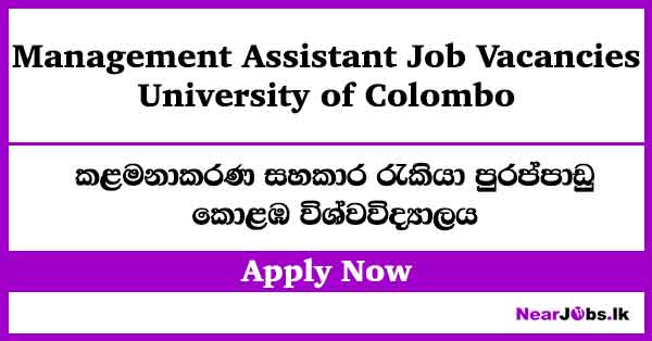 Management Assistant at Colombo University Job Vacancies