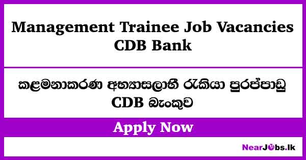 Management Trainee Job Vacancies – Citizens Development Business Finance PLC