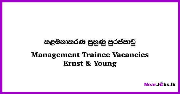 management-trainee-vacancies-in-sri-lanka-2023-ernst-young