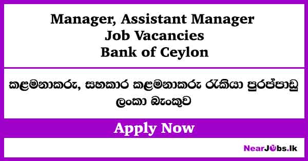 Manager, Assistant Manager at Boc Bank Job Vacancies 2026 – boc.lk