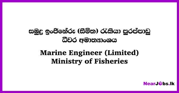 Marine Engineer (Limited) - Ministry of Fisheries Jobs 2024