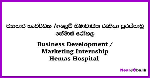 Business Development / Marketing Internship Job Vacancies in Wattala ...