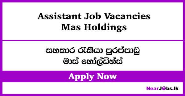 Mas Holdings Assistant Job Vacancies