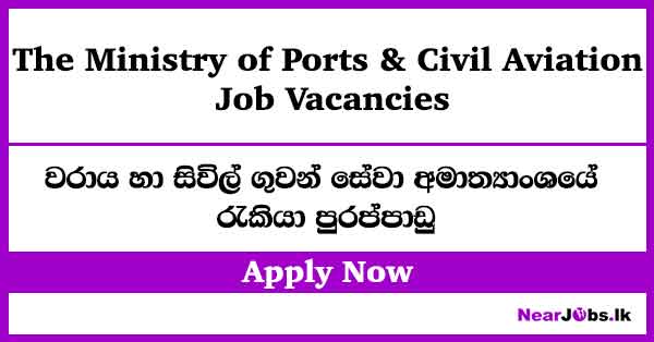 Ministry of Ports & Civil Aviation Job Vacancies 2026