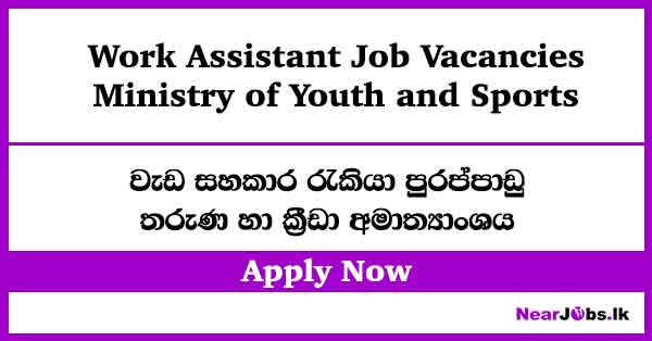 Ministry of Youth and Sports Work Assistant Job Vacancies 2026 ...