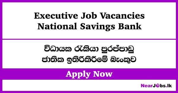 NSB Bank Executive Job Vacancies 2026