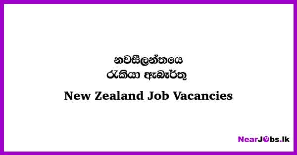 New Zealand Job Vacancies 