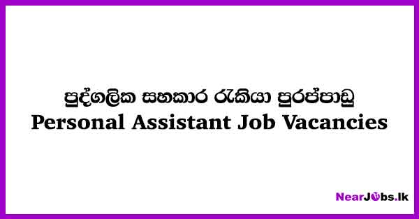 Personal Assistant Job Vacancies In Kandy 2024 Inner Circle Pvt Ltd Nearjobslk 0702