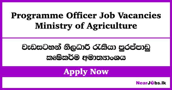 Programme Officer – Ministry of Agriculture Job Vacancies 2026