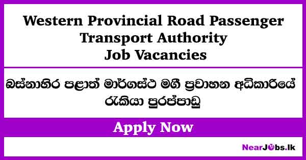 Road Passenger Transport Authority Vacancies 2026