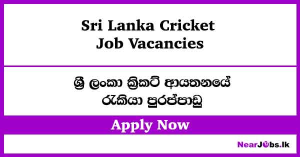 Specialized Coach – Sri Lanka Cricket Job Vacancies 2026