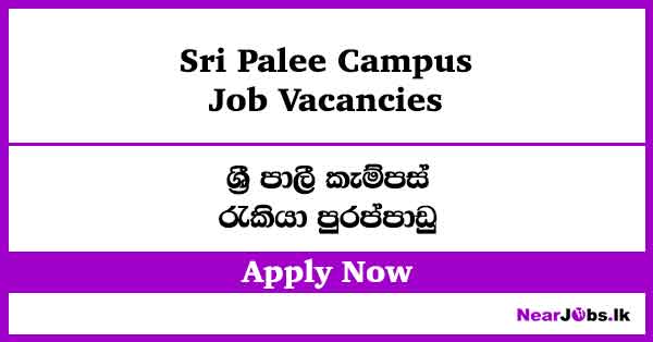 Sri Palee Campus Vacancies 2026