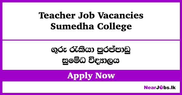 Sumedha College Teacher Job Vacancies – Apply Now