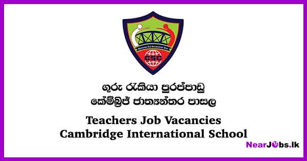 Cambridge visual data 4