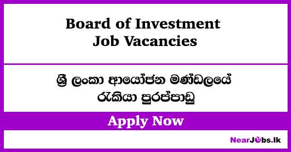 Technical Officer – Board of Investment Job Vacancies 2026