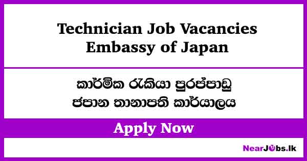 Technician in Embassy of Japan Vacancies 2026