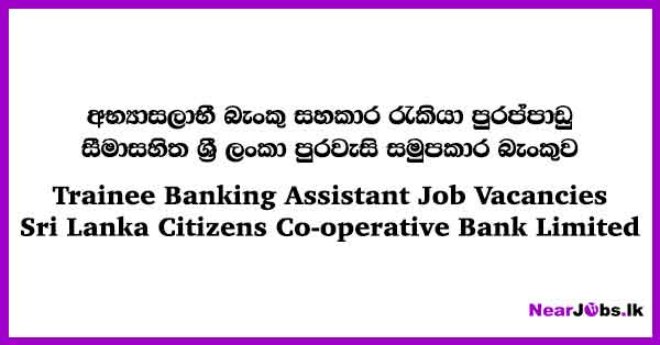 Trainee Banking Assistant Job Vacancies 2024 - Sri Lanka Citizens ...