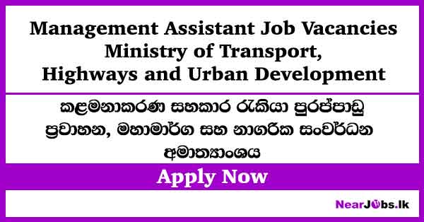 Transport Ministry Management Assistant Job Vacancies