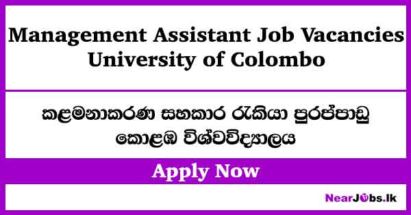 University of Colombo Management Assistant Job Vacancies